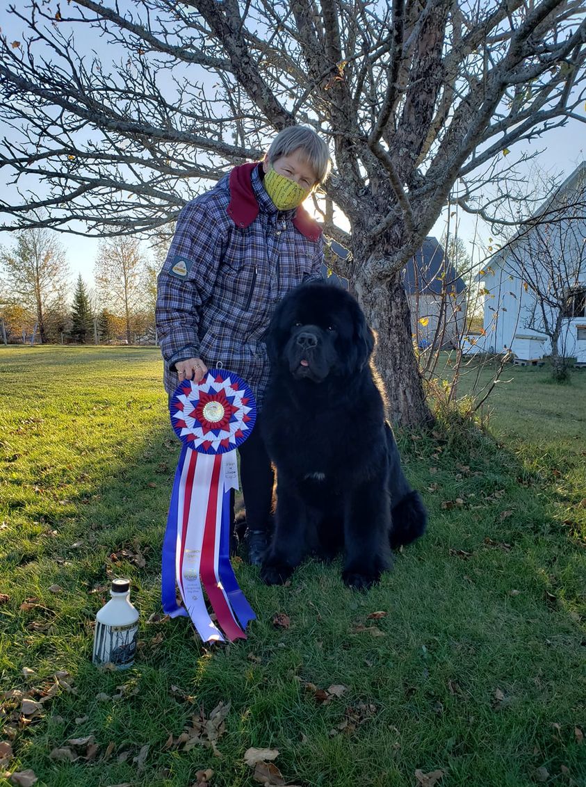 Homeport Kennels (Perm. Reg'd)